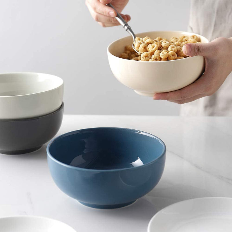 Ceramic Soup Cereal Salad Serving Bowls Set of 4 - 22 Oz Cold Assorted.