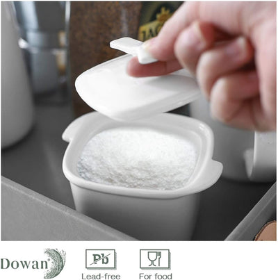 Ceramic Salt Sugar Bowls Box Cellar Container With Lid - 8 Oz White.